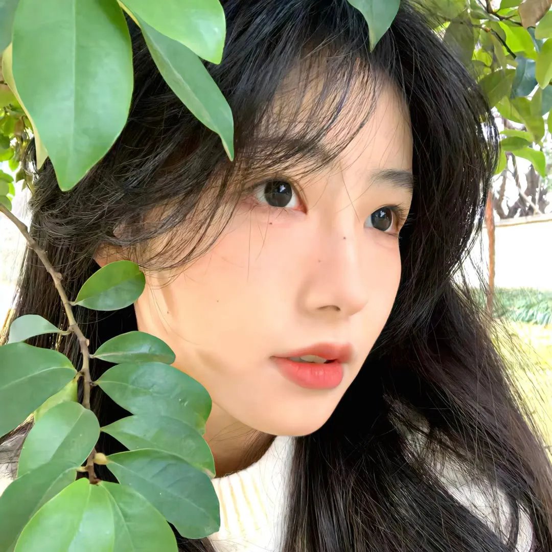节日开始了